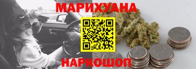 гашик Можга