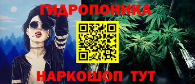 гашик Можга
