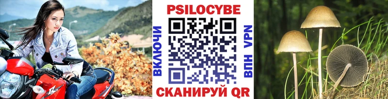 Псилоцибиновые грибы GOLDEN TEACHER  Туймазы 