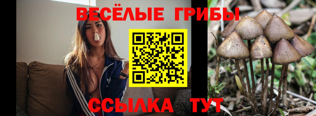 Галлюциногенные грибы мухоморы  где можно купить   Туймазы  Вход с VPN 